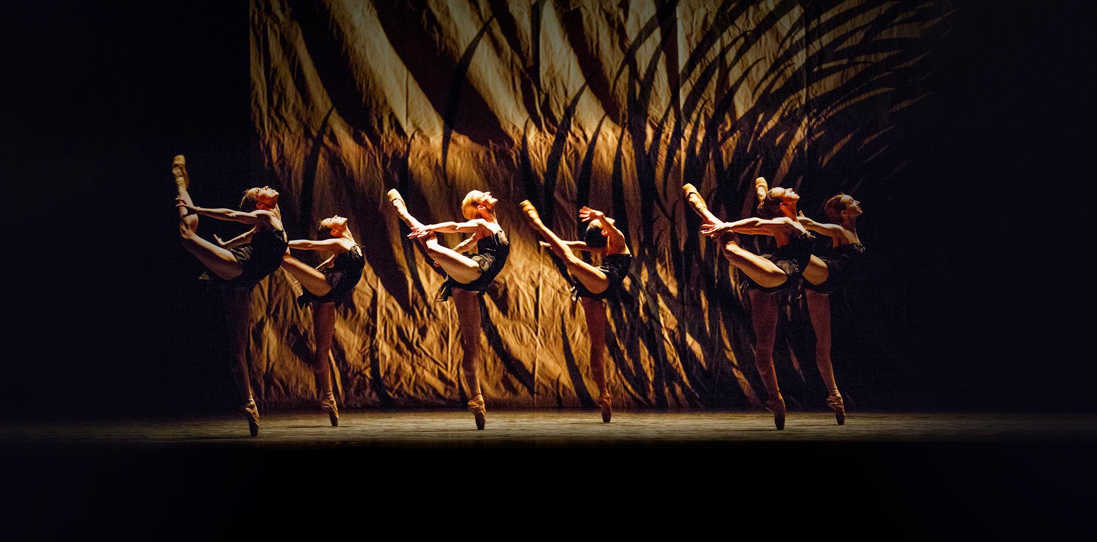 Artists of the Ballet in Emergence