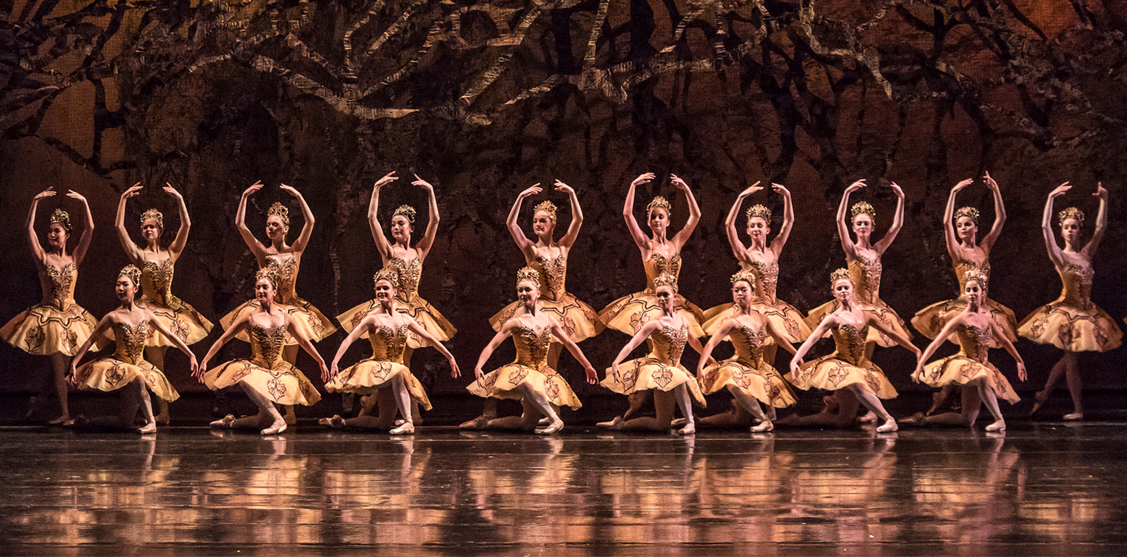 Artists of the Ballet in The Sleeping Beauty
