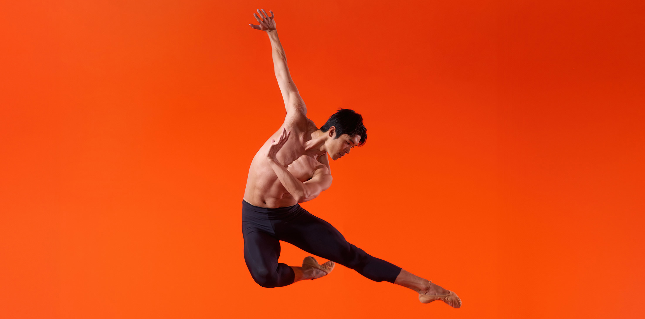 Artist of the Ballet